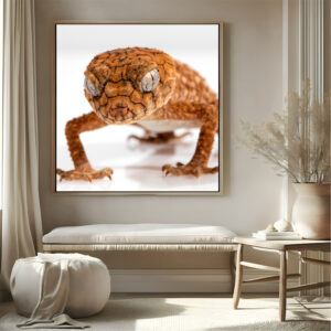 Lizard with frame Big Size Wall Art for living room,Bedroom,Drawing room,Hotels